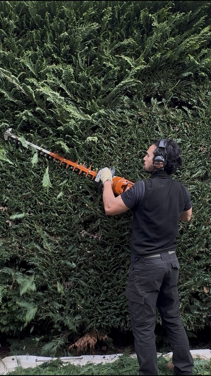 Taille de haie à Genas en Isère