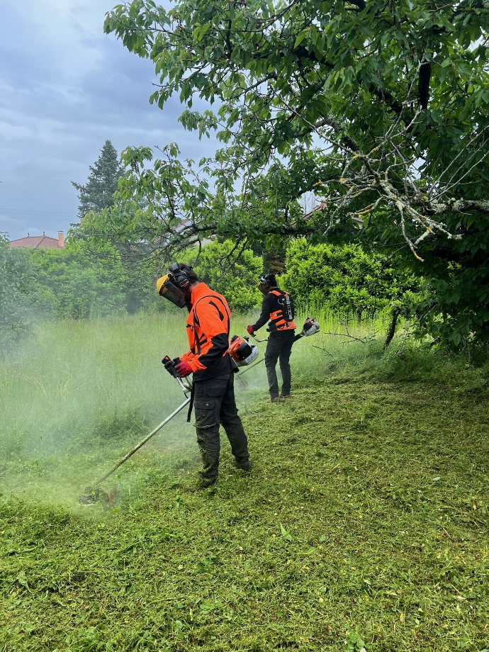 Débroussaillage à Frontonas en Isère