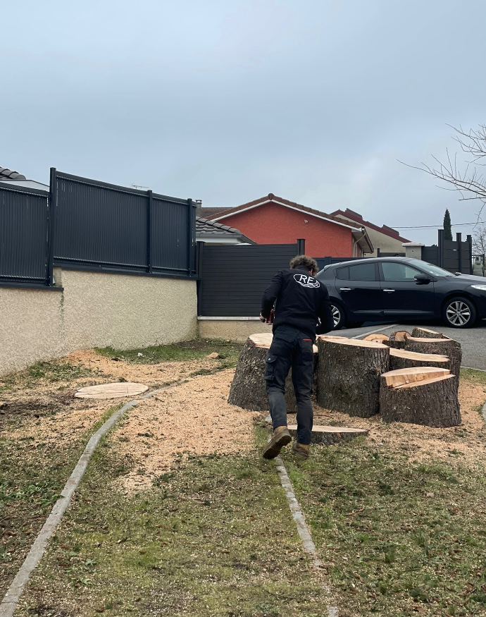 Abattage d'un arbre à Tignieu en Isère