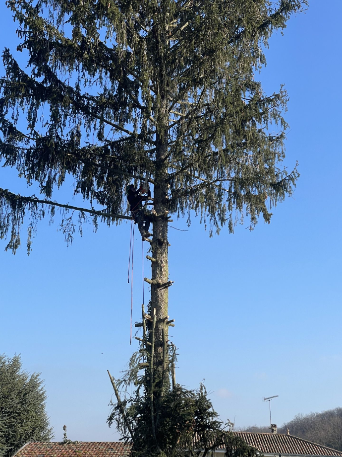 Abattage d'un arbre à Eyzin-Pinet
