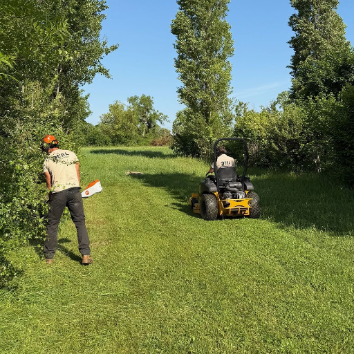 Débroussaillage et tonte à Frontonas en Isère