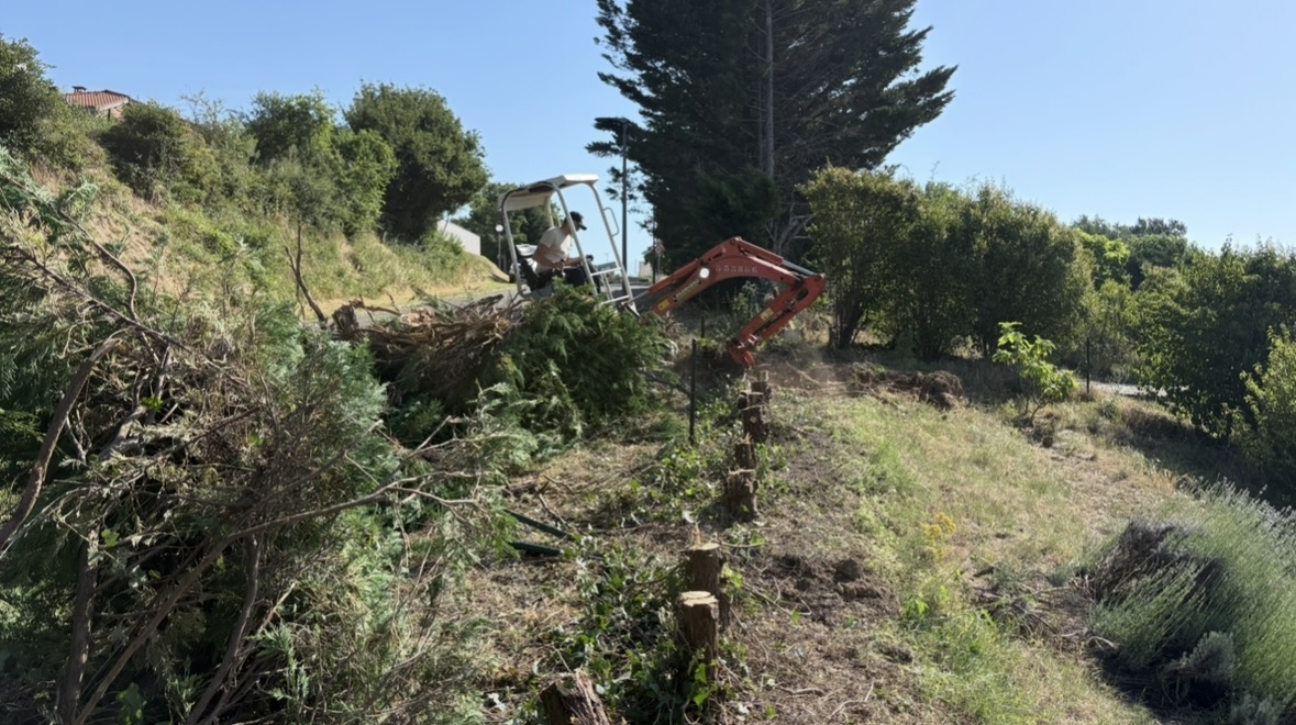 Arrachage d'une haie à Villefontaine en Isère