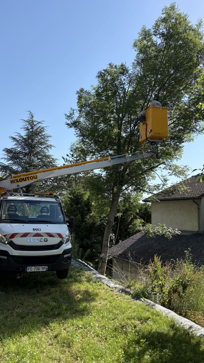 Élagage à Lyon Élagage à Lyon