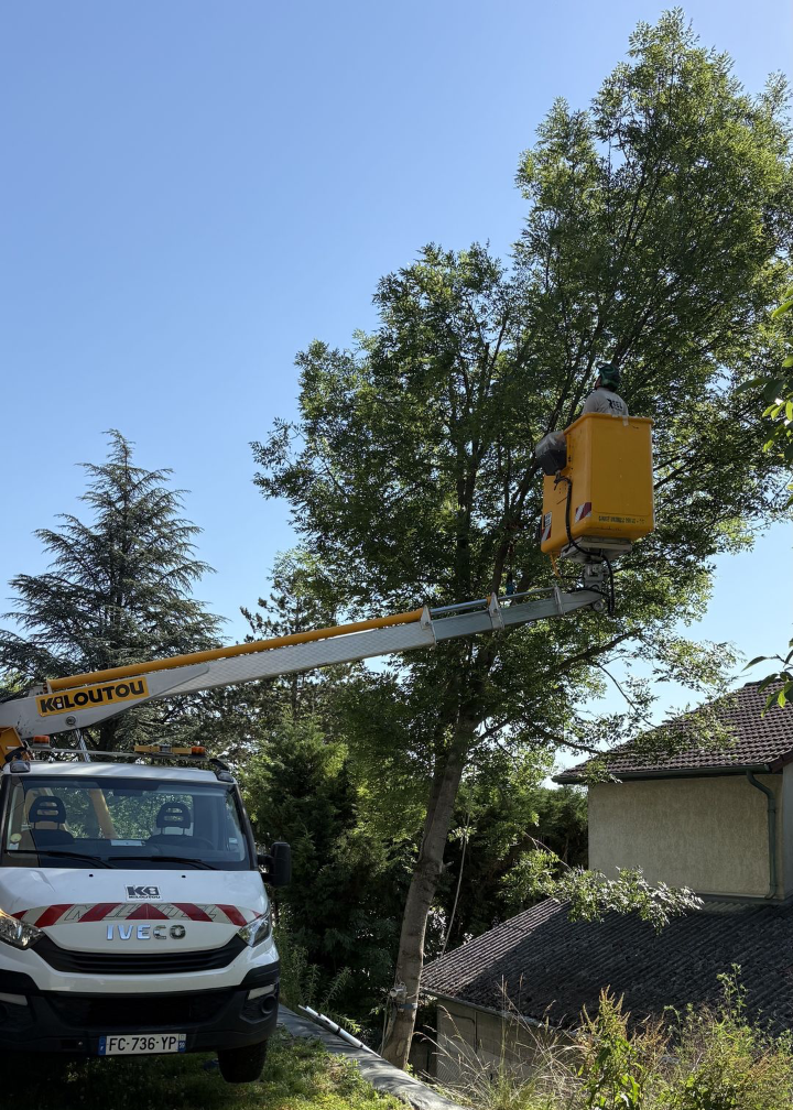intervention en nacelle de Réel Paysage