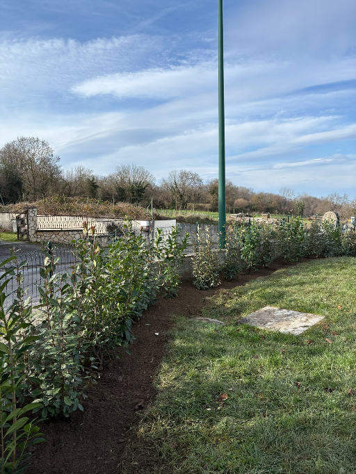 Plantation en Isère
