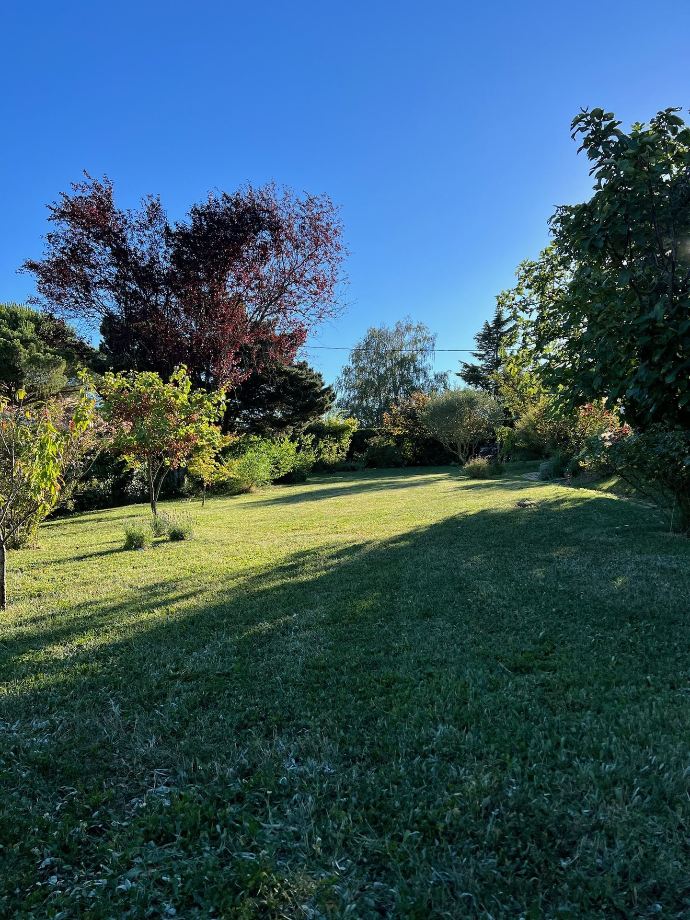 Tonte à Vienne