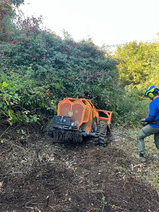 Débroussaillage avec robot