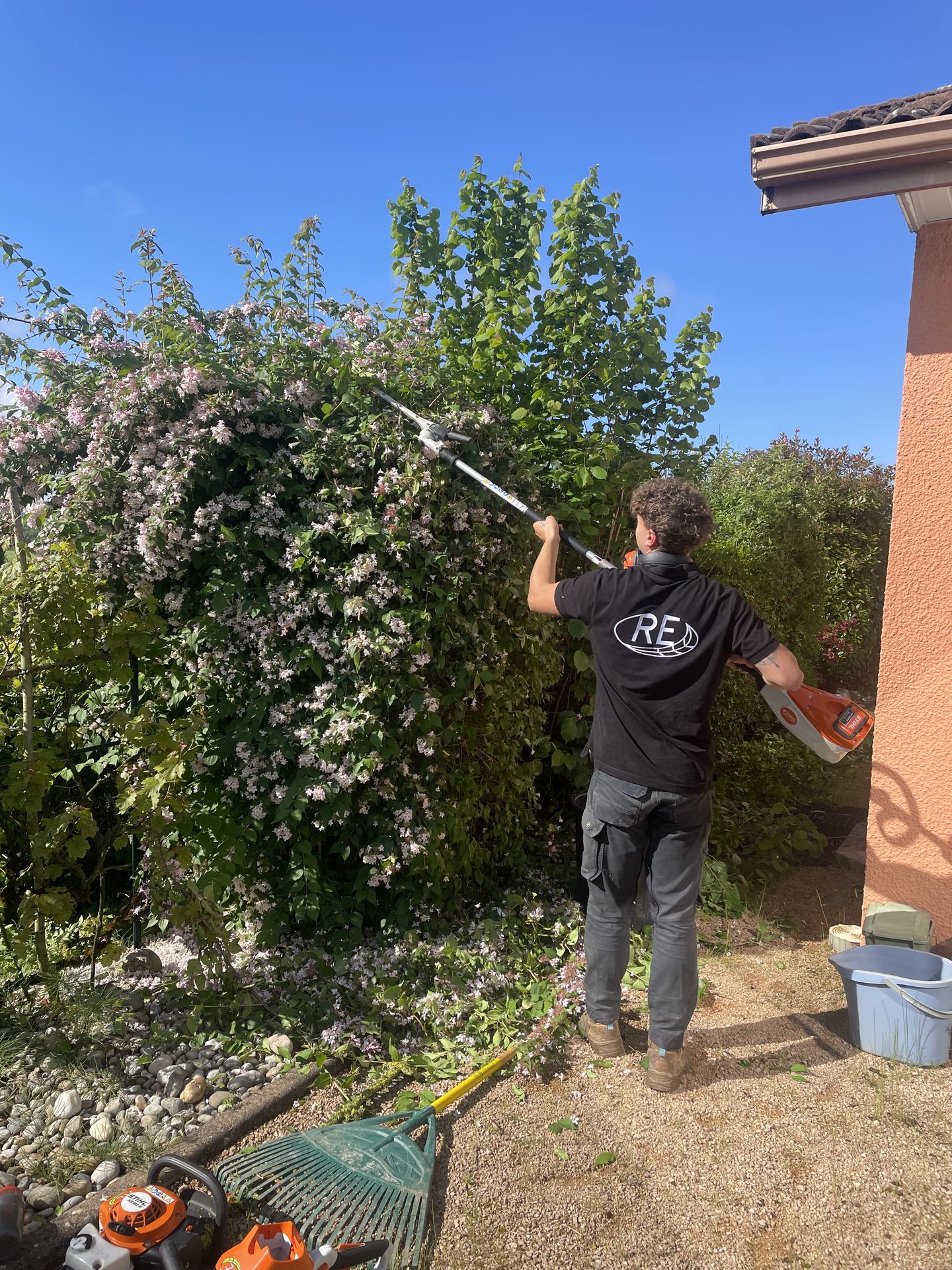 Taille de haie en Isère Taille de haie en Isère