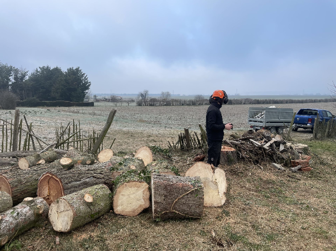 Abattage en Isère Abattage en Isère
