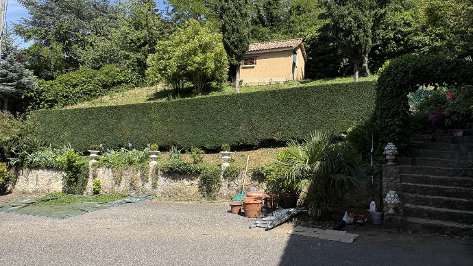 Taille de haie à Vienne Taille de haie à Vienne