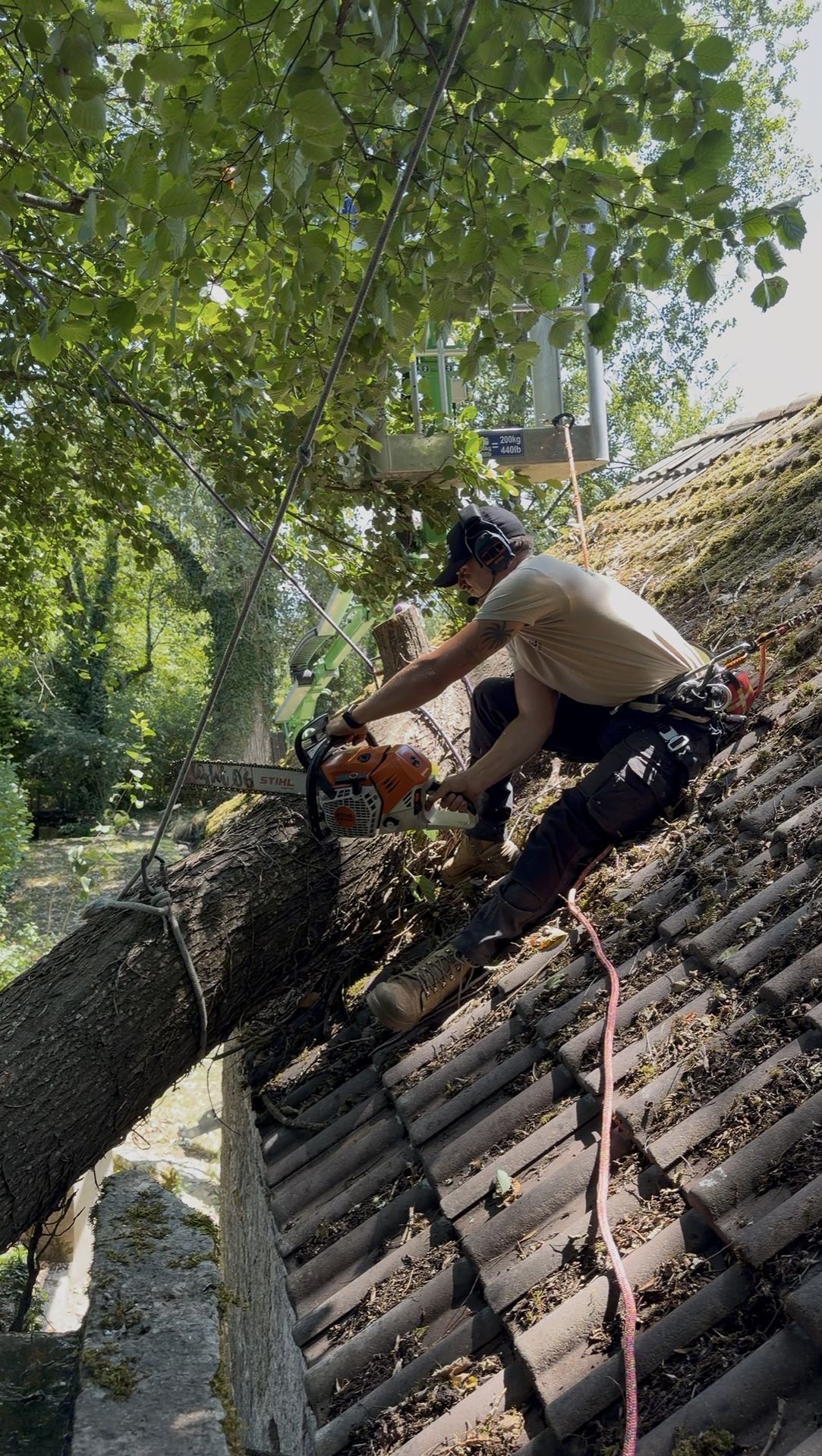 Démontage arbre sur toit