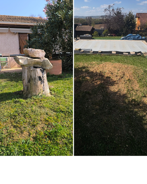 Rognage d'une souche dans le Rhône